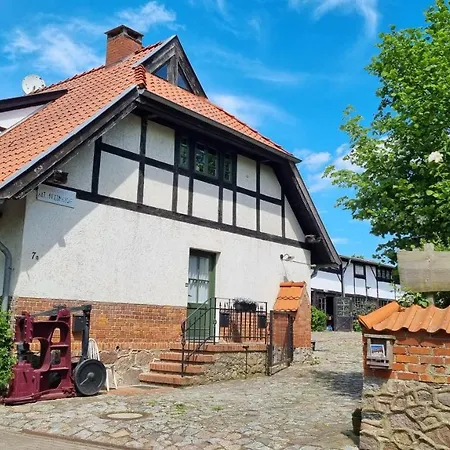 Kafer Auf Dem Alten Museumshof *